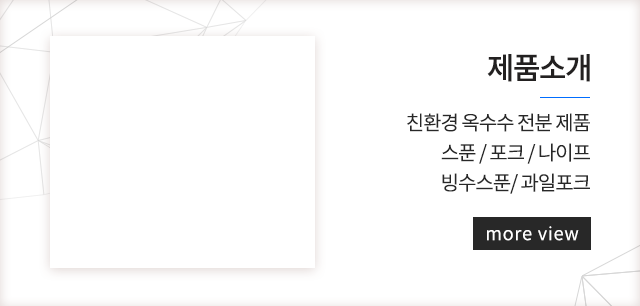 (주)선진플라잉